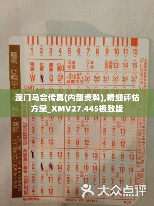 馬會(huì)傳真正版，探索正版馬會(huì)文化的魅力與價(jià)值，正版馬會(huì)文化的魅力與價(jià)值探索