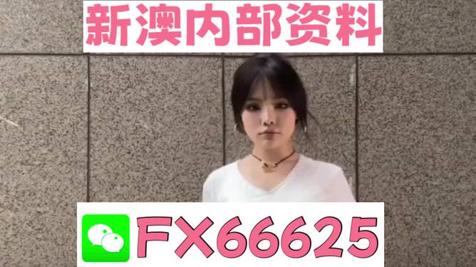 澳門正版資料大全完整版，探索與揭秘2025年澳門正版資料的世界，澳門正版資料大全揭秘，探索未來至2025年的奧秘世界