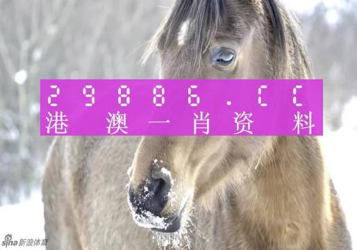 澳門一肖一碼100%準確預測——揭秘彩票背后的秘密，澳門彩票預測揭秘，一肖一碼100%準確預測背后的秘密
