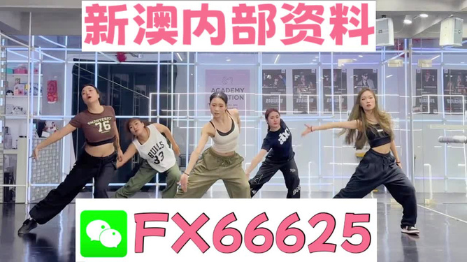 王中王內(nèi)部透肖一肖二碼，深度解析與探索，王中王內(nèi)部透肖一肖二碼深度解析與探索揭秘