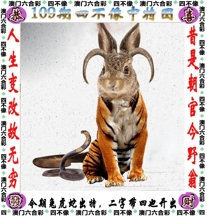 王中王四不像一肖中特，揭秘背后的奧秘與特點，揭秘王中王四不像一肖中特背后的奧秘與獨(dú)特特點