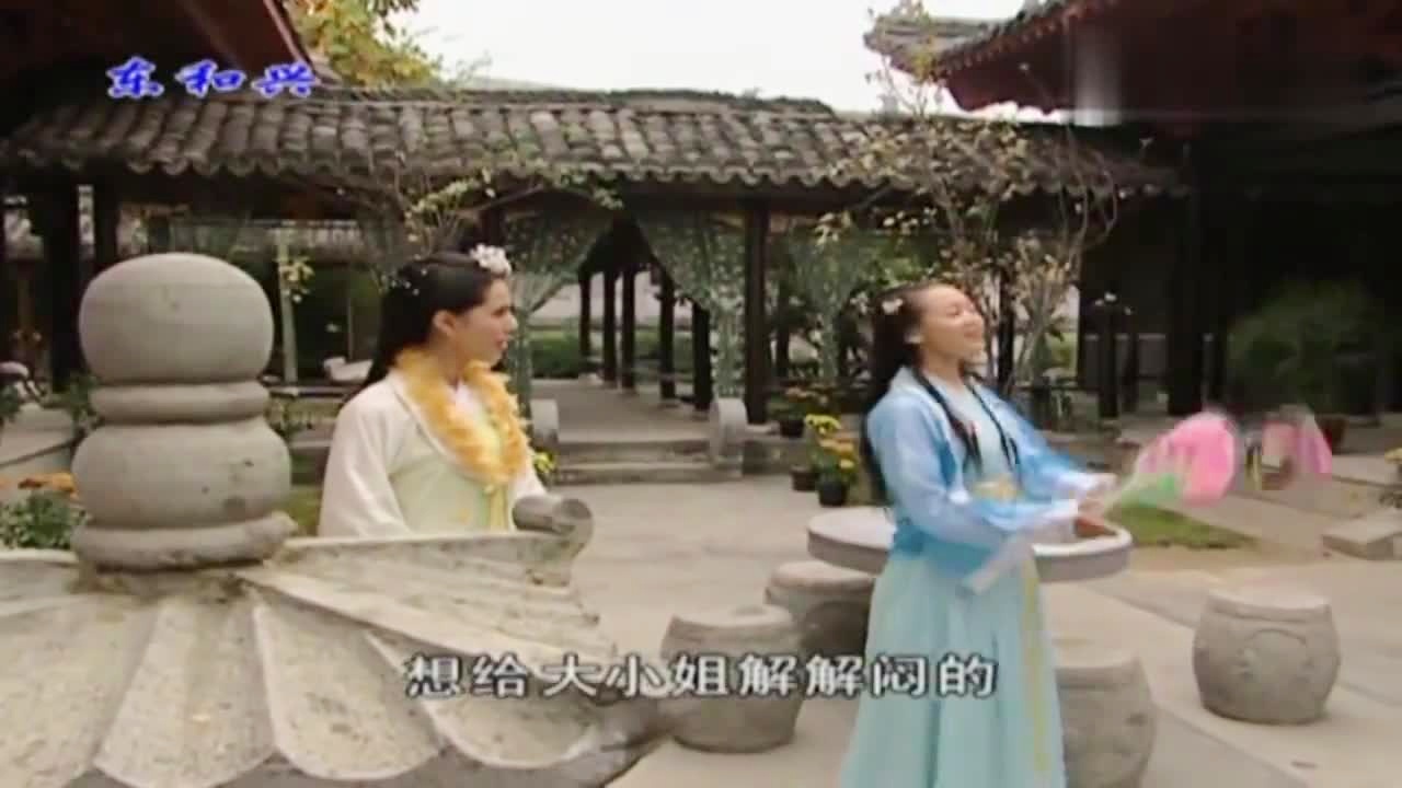劉伯溫白小姐一肖期期準(zhǔn)，神秘預(yù)測背后的真相，劉伯溫白小姐生肖預(yù)測揭秘，神秘預(yù)測背后的真相