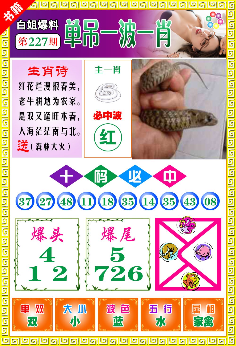 王中王免費一肖開獎，揭秘彩票背后的秘密，揭秘彩票背后的秘密，王中王免費一肖開獎探秘