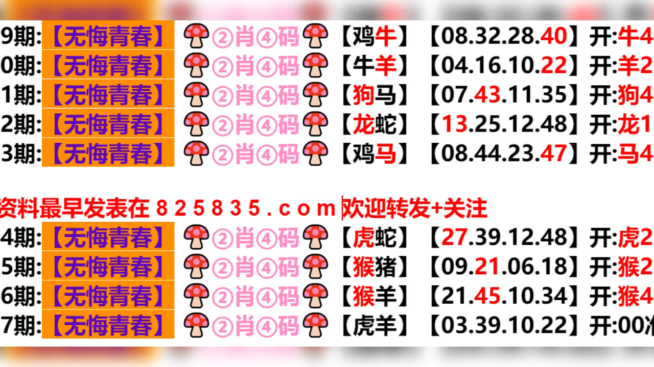 新奧門一肖一碼資料，揭秘與探索，揭秘探索新澳門一肖一碼資料