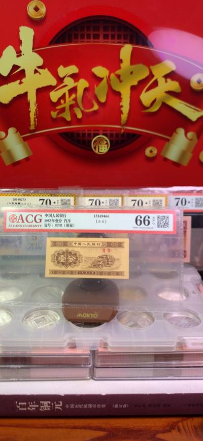 揭秘林中高手王中王背后的生肖秘密，揭秘王中王背后的生肖秘密，林中高手的生肖傳奇