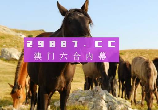 管家婆必開一肖一碼，澳門精準(zhǔn)分析與預(yù)測，管家婆必開一肖一碼，澳門精準(zhǔn)分析與預(yù)測揭秘