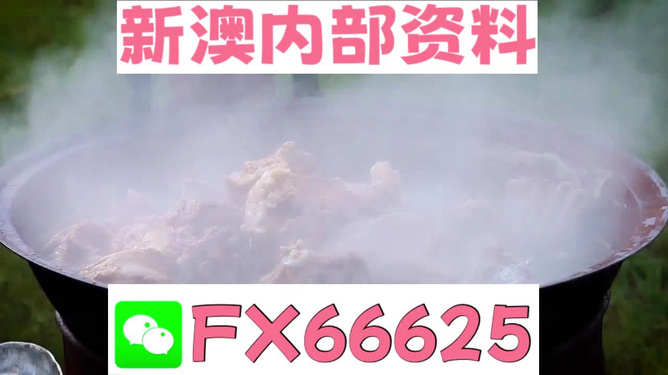 新澳全年免費(fèi)資料大全，一站式獲取優(yōu)質(zhì)資源指南，新澳全年優(yōu)質(zhì)資源免費(fèi)獲取指南