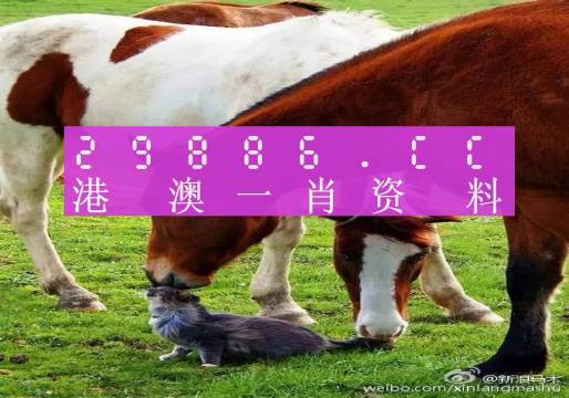 新奧門一肖一碼，揭秘精準(zhǔn)預(yù)測的秘密，揭秘新澳門一肖一碼精準(zhǔn)預(yù)測的秘密