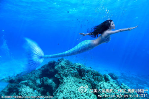 澳門美人魚最快開獎(jiǎng)結(jié)果圖——揭秘?zé)衢T彩票游戲背后的秘密，澳門美人魚彩票開獎(jiǎng)揭秘，最新結(jié)果圖與游戲背后秘密探索