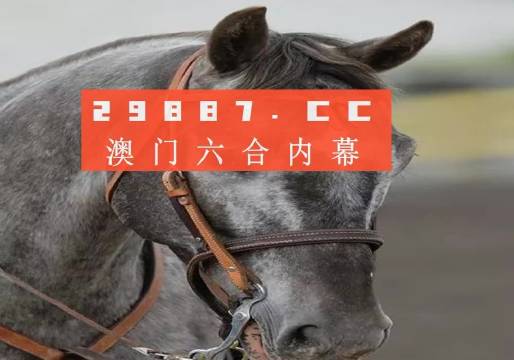 澳門一一碼一特一中準選今晚，探索真實有效的選擇與策略，澳門今晚一特一中準選碼，真實有效的選擇與策略探索
