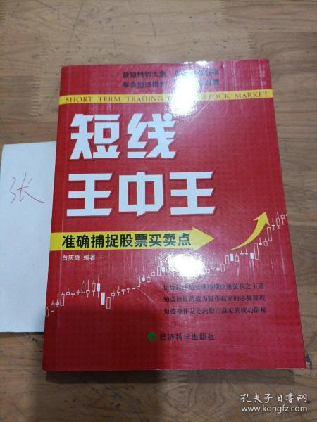 王中王平特一肖秀家網，深度解析與SEO優(yōu)化策略，王中王平特一肖秀家網，深度解析與SEO優(yōu)化策略指南