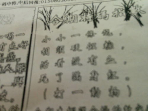 揭秘必中劉伯溫猜一生肖的神秘面紗，揭秘劉伯溫生肖預(yù)測背后的神秘面紗