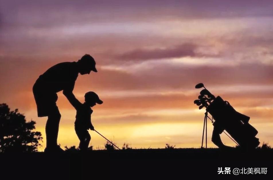 森林高手王中王與神秘生肖——深度解讀背后的故事與秘密，森林高手王中王與神秘生肖，故事背后的深度解讀與秘密探尋