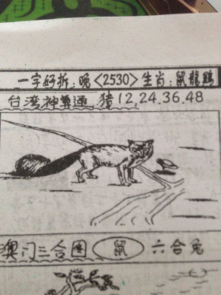 揭秘生肖奧秘，看圖猜一生肖劉伯溫的傳奇故事，揭秘生肖奧秘，劉伯溫傳奇故事中的生肖之謎探索
