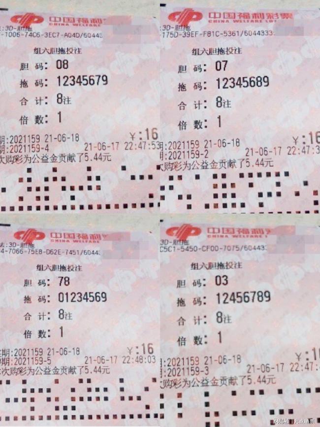 王中王四肖精選一肖新聞，揭秘背后的故事與趨勢(shì)，王中王四肖精選揭秘，背后的故事與趨勢(shì)聚焦一肖新聞