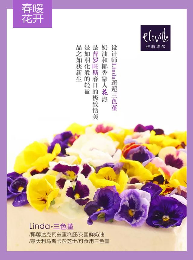 王中王339期指一生肖——探尋背后的秘密與玄機(jī)，探尋王中王339期生肖背后的秘密與玄機(jī)