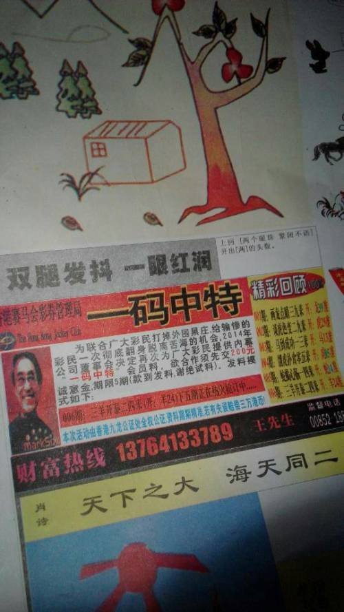 欲錢詩猜一肖——探尋王中王的奧秘，探尋王中王的奧秘，欲錢詩猜一肖