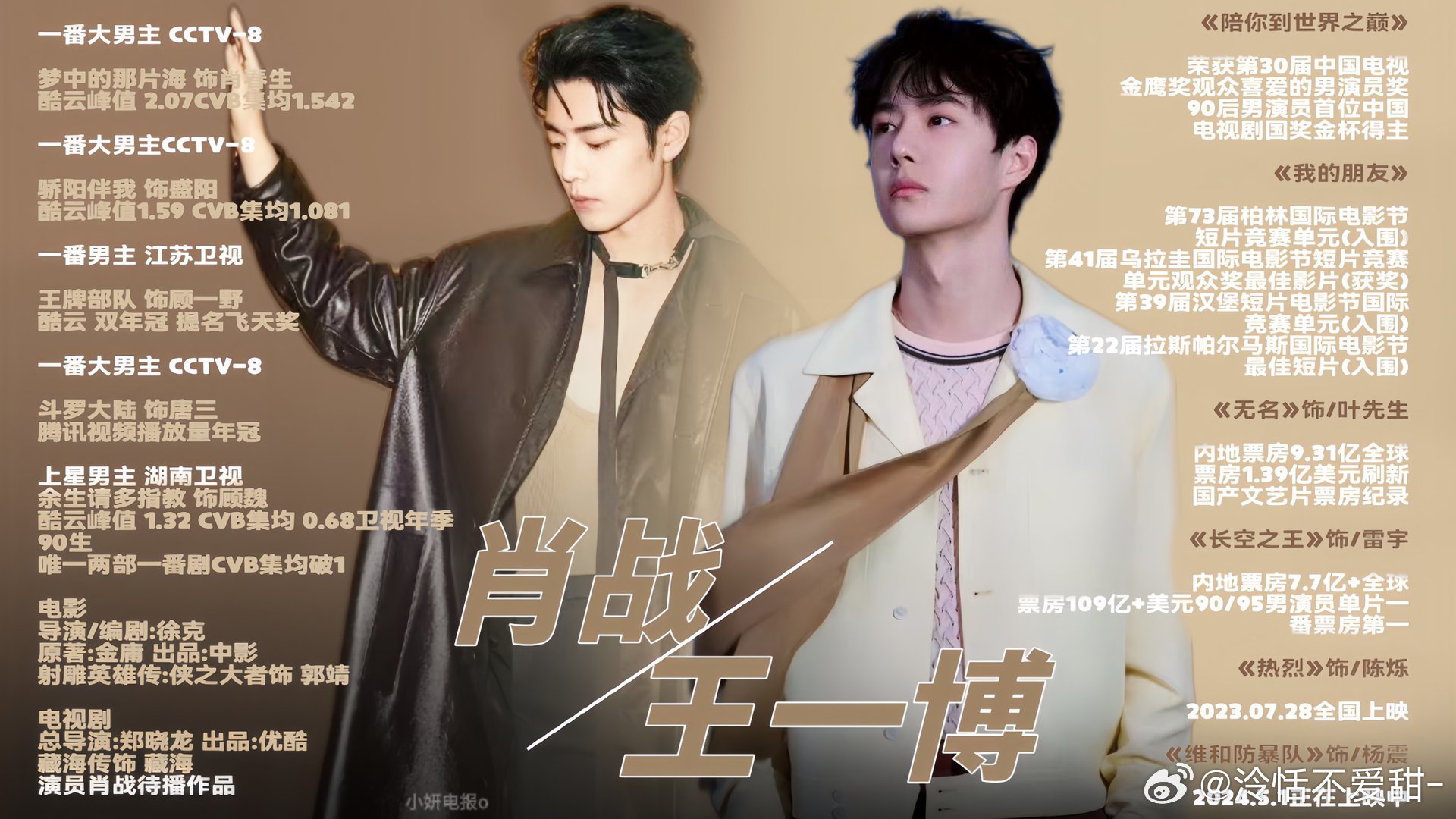 王中王一肖中特全年資料解析與SEO優(yōu)化策略，王中王一肖中特全年資料解析與SEO策略詳解