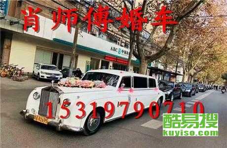 王中王車奪平特一肖免費(fèi)——深度解析與探索，王中王車奪平特一肖，深度解析與免費(fèi)探索
