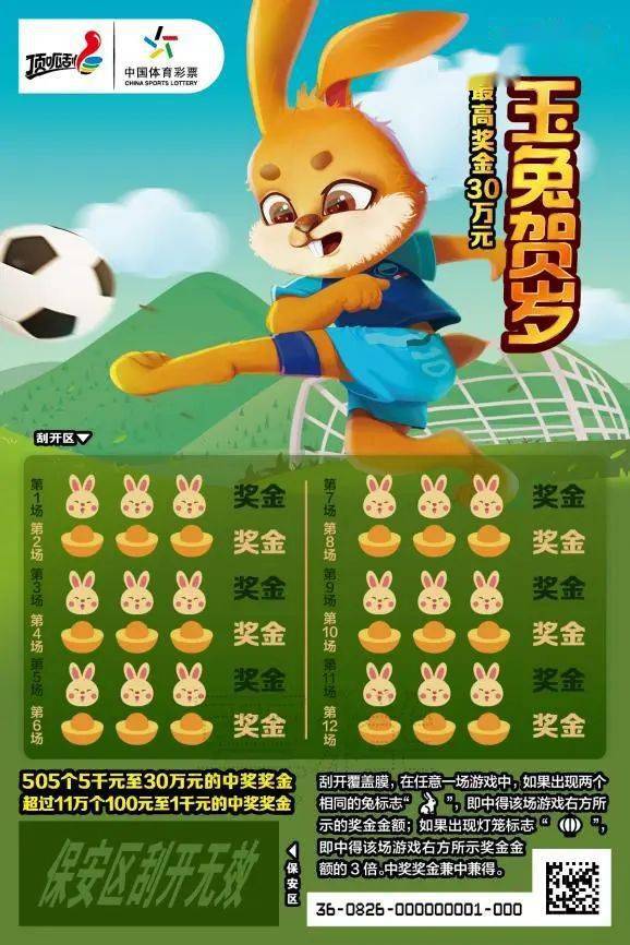 王中王一肖中特兔費(fèi)，探索關(guān)鍵詞背后的奧秘，探索關(guān)鍵詞王中王一肖中特兔費(fèi)背后的奧秘