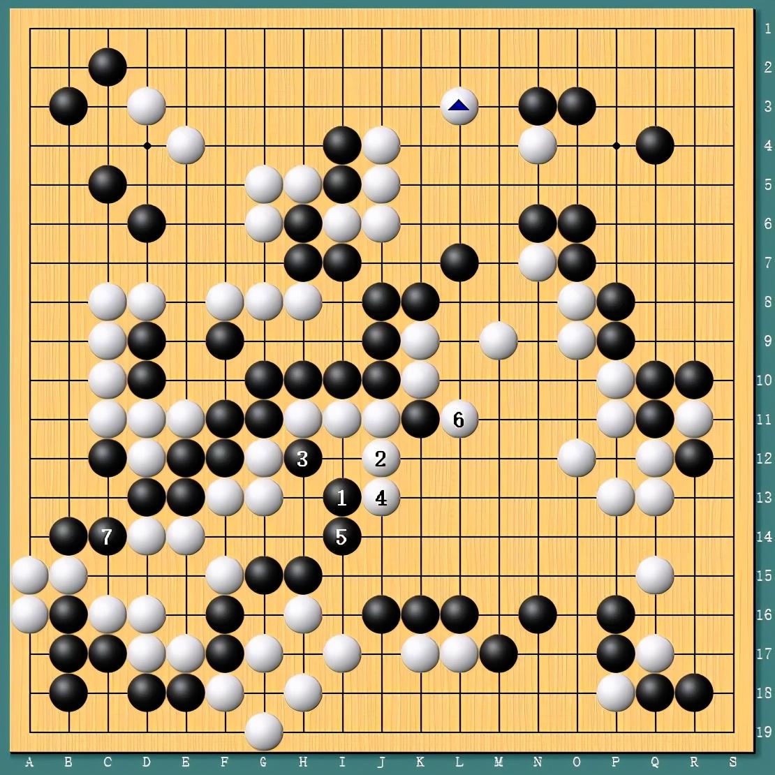 王中王四肖一碼資料論壇，探索與解析，王中王四肖一碼資料論壇，深度探索與解析
