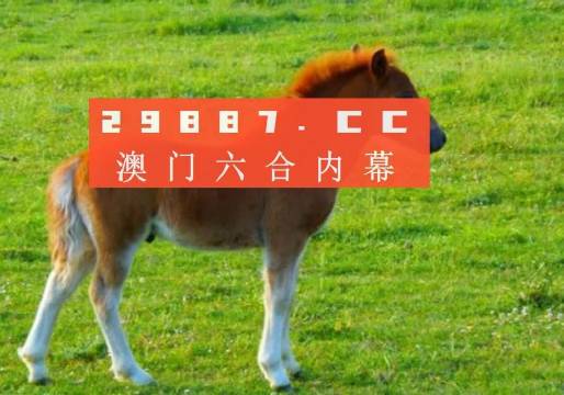 新奧門(mén)一肖一馬平特大全，揭秘?zé)衢T(mén)關(guān)鍵詞背后的故事，揭秘新澳門(mén)熱門(mén)關(guān)鍵詞背后的故事，一肖一馬平特大全