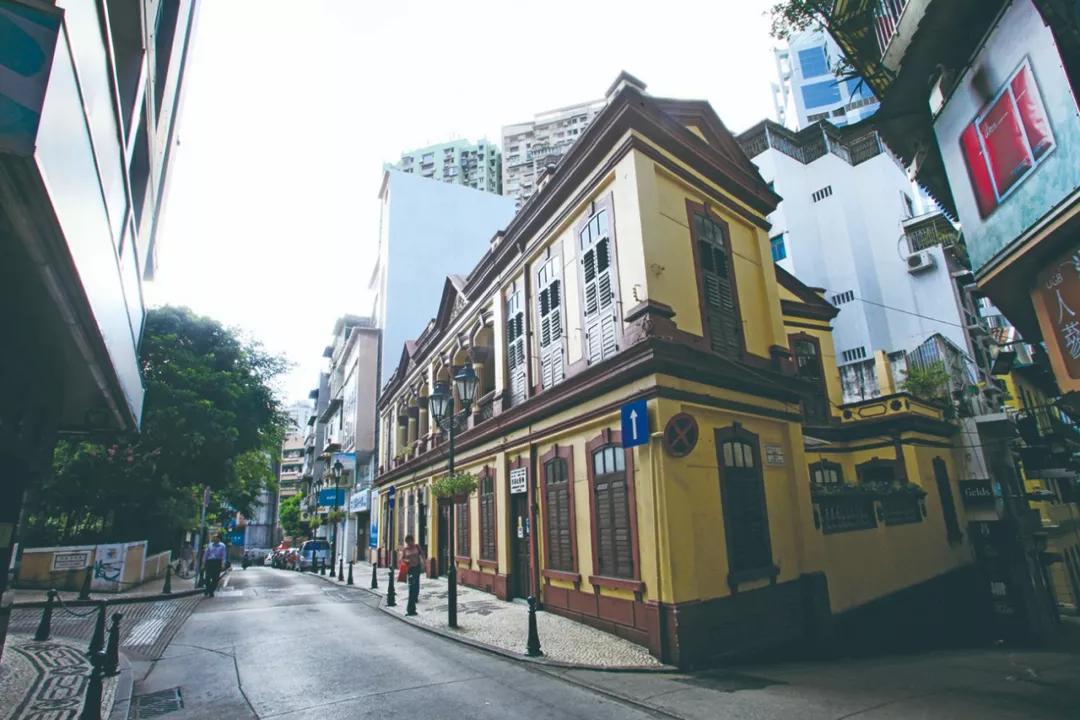 新澳門一肖單像——揭秘生肖彩票的奧秘，揭秘新澳門生肖彩票奧秘，一肖單像探秘