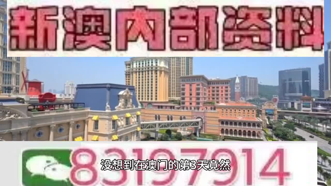 新澳門今晚必開一肖一特，探索生肖與特碼的魅力，澳門生肖特碼探索，今晚必開一肖一特之魅力
