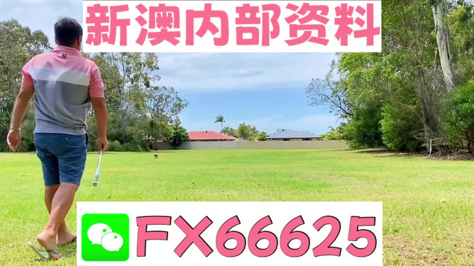 王中王一碼二肖，揭秘背后的秘密，揭秘王中王一碼二肖背后的秘密