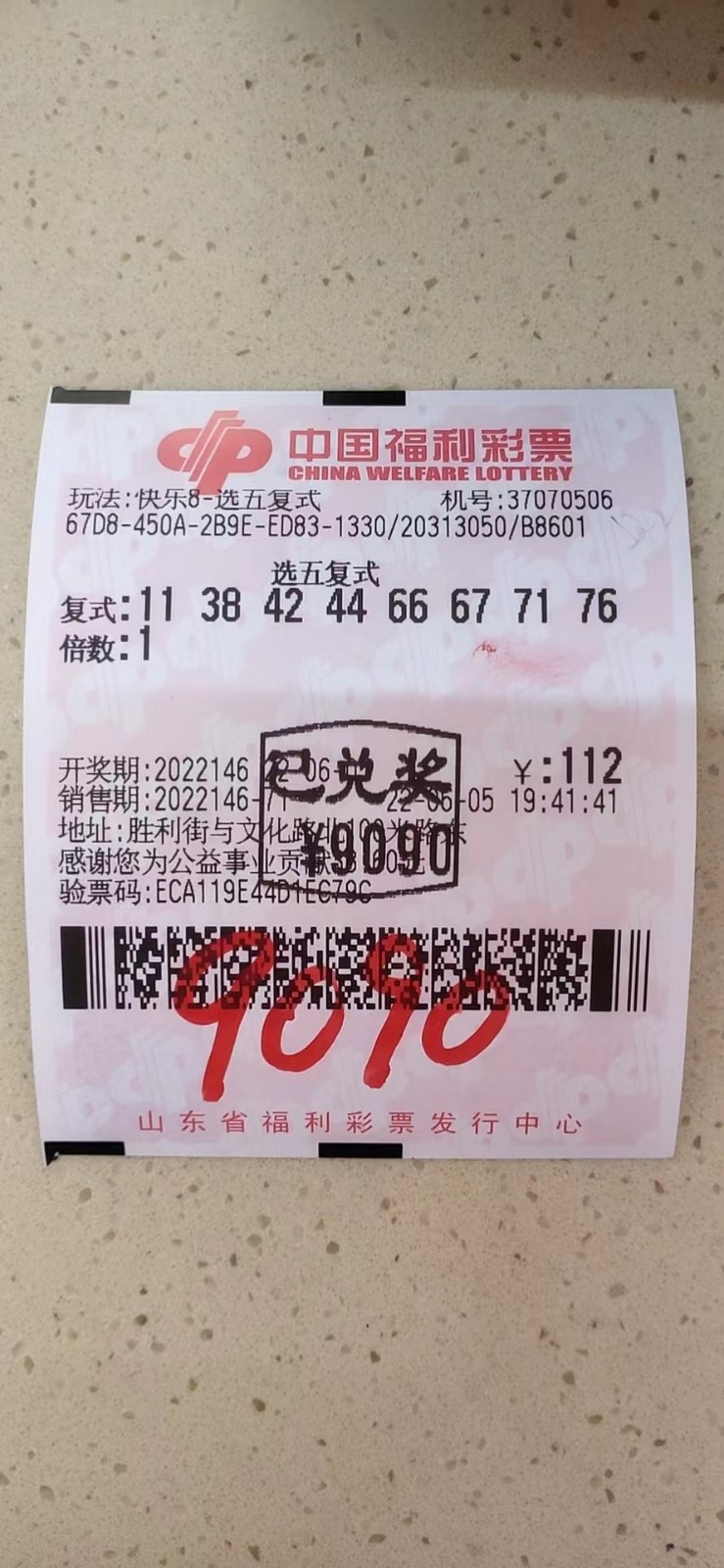 揭秘002期王中王平特一肖，背后的故事與奧秘，揭秘王中王平特一肖背后的故事與奧秘（第002期）