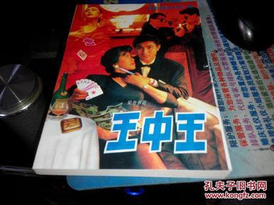 王中王資料一肖中特小說(shuō)，深度解析與探索，王中王資料一肖中特小說(shuō)的深度解析與探索之旅