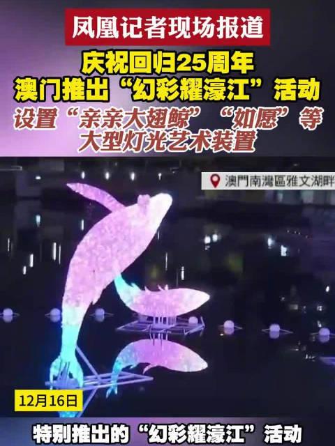 新澳門六開獎結果查詢濠江論壇——快速獲取開獎信息的首選平臺，澳門六開獎結果查詢首選平臺，濠江論壇快速更新開獎信息