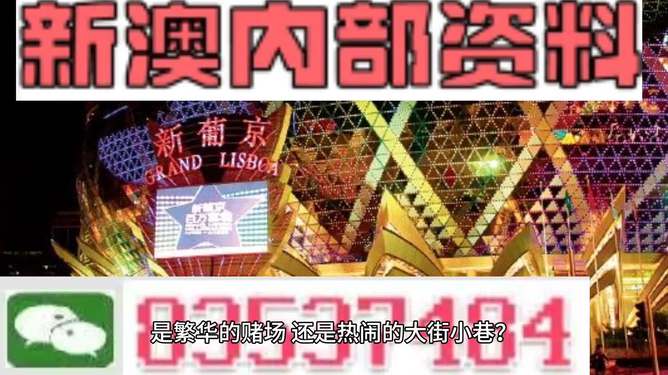新澳門精準(zhǔn)資料大全管家婆料，探索與解析，澳門精準(zhǔn)資料大全解析，探索管家婆料內(nèi)幕