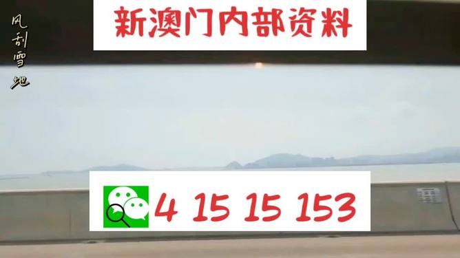 新澳2025最新資料生肖，深度解析與預(yù)測展望，新澳2025最新生肖資料深度解析與未來預(yù)測展望