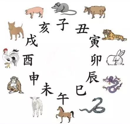 澳門天天彩期期精準(zhǔn)十二生肖預(yù)測——揭秘彩票秘密，澳門天天彩期期精準(zhǔn)十二生肖預(yù)測，揭秘彩票秘密之獨家解析