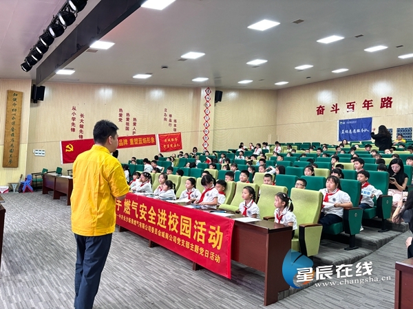 新奧正版資料的SEO優(yōu)化文章，新奧正版資料的SEO優(yōu)化指南