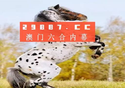 白小姐的精準(zhǔn)免費(fèi)四肖，揭秘背后的秘密，揭秘白小姐精準(zhǔn)免費(fèi)四肖背后的秘密