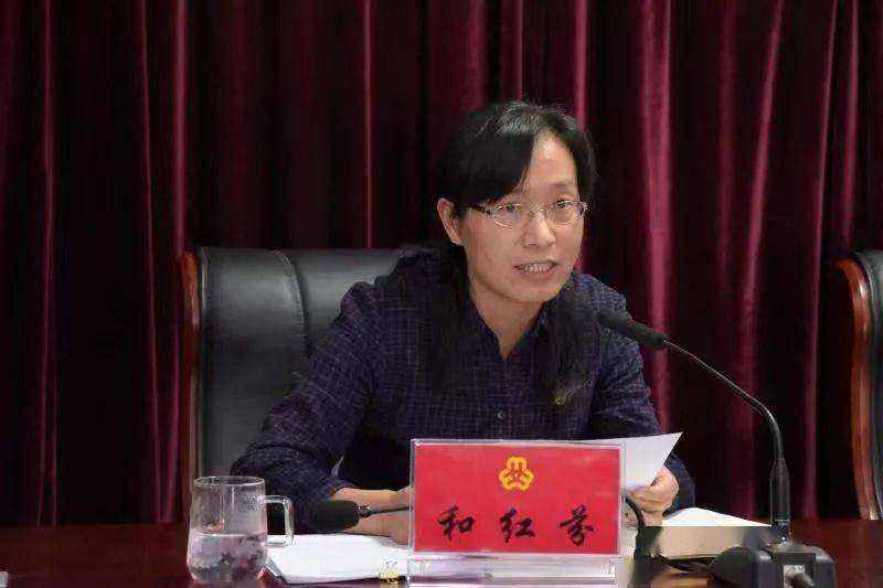 二四六香港期期中的資料解析與SEO優(yōu)化策略，香港期期二四六資料解析與SEO優(yōu)化策略探討