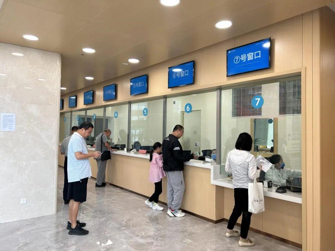 新門內(nèi)部資料免費(fèi)下載——探索與揭秘，新門內(nèi)部資料揭秘，免費(fèi)下載與探索之旅