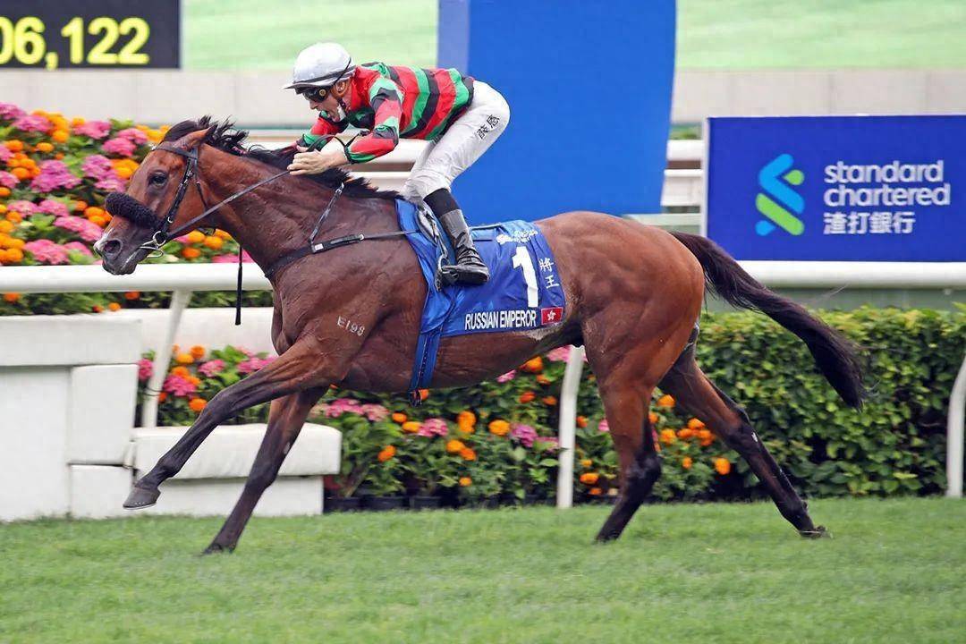 香港馬賽事，探索數(shù)字背后的激情與榮耀 7777788888，香港馬賽事，數(shù)字背后的激情與榮耀