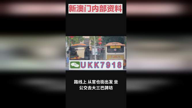 揭秘澳門今晚開獎(jiǎng)號(hào)碼，預(yù)測與策略走向，澳門今晚開獎(jiǎng)號(hào)碼揭秘與預(yù)測策略走向探討
