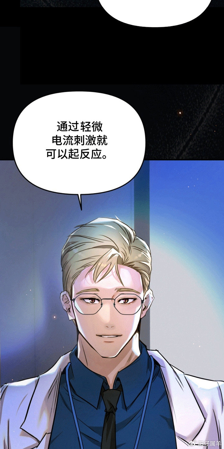 夜間診療室韓漫免費(fèi)，探索醫(yī)療與娛樂(lè)的新領(lǐng)域，夜間診療室韓漫免費(fèi)，醫(yī)療與娛樂(lè)的新領(lǐng)域探索