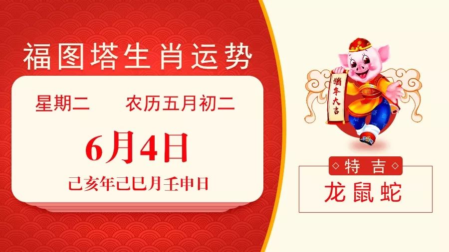新澳特碼，羊?；⒏鲾?shù)10的獨(dú)特魅力與解析，新澳特碼，羊?；⒏鲾?shù)10的獨(dú)特魅力深度解析