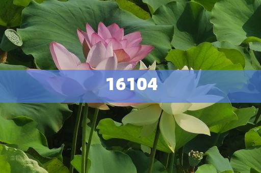 新奧600圖庫2025，探索與前瞻，新奧600圖庫2025，深度探索與未來展望