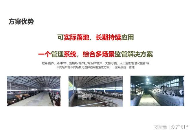 探索新澳芳草地，正版資料的免押之旅（2025年最新資訊），探索新澳芳草地，正版資料免押之旅（最新資訊）