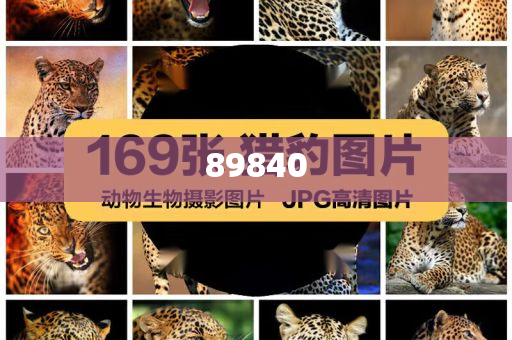 揭秘新奧集團，展望未來的最新資料，探尋五不中的奧秘，新奧集團未來展望，探尋五不中的奧秘與揭秘最新發(fā)展資料