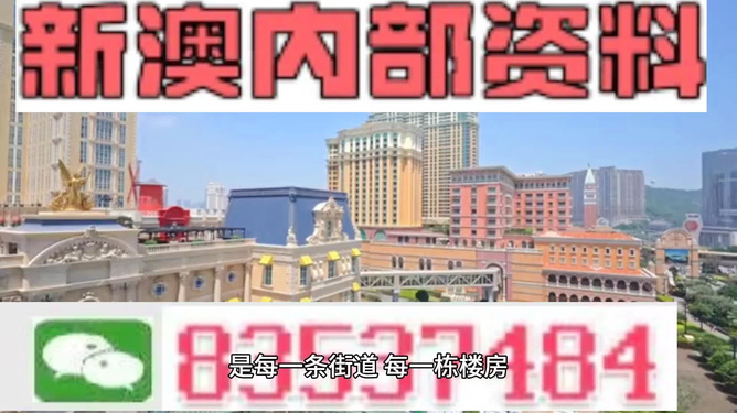新澳門最精準(zhǔn)正最精準(zhǔn)龍門——探索澳門的魅力與機(jī)遇，澳門魅力與機(jī)遇探索，新澳門最精準(zhǔn)龍門