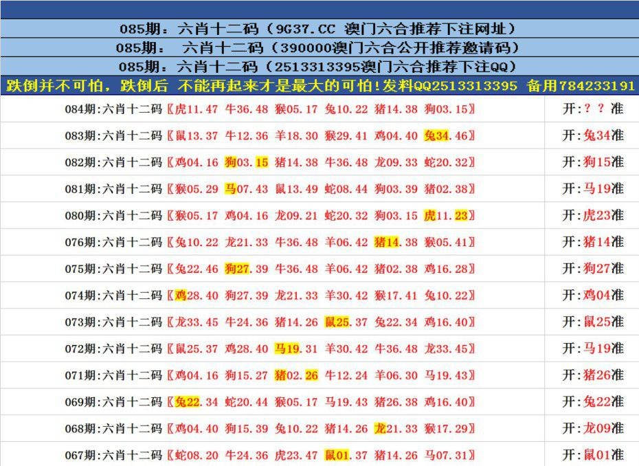 澳門正版免費資料澳門，探索與獲取，澳門正版免費資料探索與獲取之旅