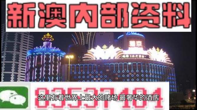新澳持碼會資料詳解，新澳持碼會資料全面解析