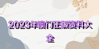 澳門正版免費全年資料大全旅游團，探索澳門之美的絕佳選擇，澳門正版全年資料大全旅游團，探索澳門之美的最佳指南